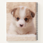 Carnet Animaux de bébés cutest | Baby Corgi (Dos)