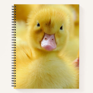 Carnet Animaux de bébés cutest Baby Duck Group