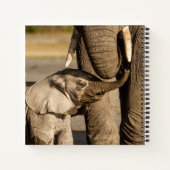 Carnet Animaux de bébés cutest | Baby Elephant & Mama (Dos)