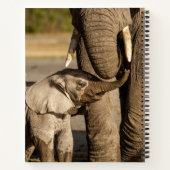 Carnet Animaux de bébés cutest | Baby Elephant & Mama (Dos)