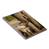 Carnet Animaux de bébés cutest | Baby Elephant & Mama (Côté Droit)