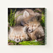 Carnet Animaux de bébés cutest | Baby Red Fox Kits Sleepi (Dos)