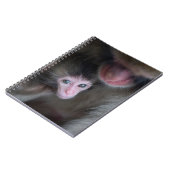 Carnet Animaux de bébés cutest | Bébé Macaque singe et mè (Côté gauche)
