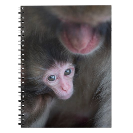 Carnet Animaux de bébés cutest | Bébé Macaque singe et mè (Devant)