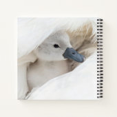 Carnet Animaux de bébés cutest | Bébé Mute Swan (Dos)