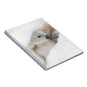 Carnet Animaux de bébés cutest | Bébé Mute Swan (Côté Droit)