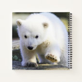Carnet Animaux de bébés cutest | Bébé Ours polaire (Dos)