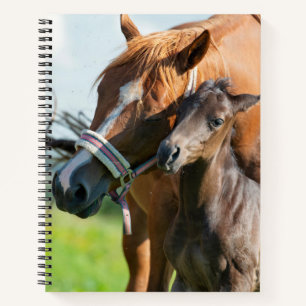 Carnet Animaux de bébés cutest Black Foy avec maman