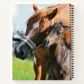 Carnet Animaux de bébés cutest | Black Foy avec maman (Dos)