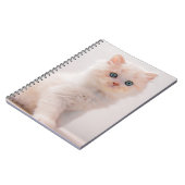 Carnet Animaux de bébés cutest | Blue Eye Kitten (Côté gauche)