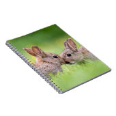 Carnet Animaux de bébés cutest | Bunny Kiss (Côté Droit)