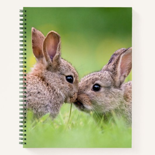 Carnet Animaux de bébés cutest | Bunny Kiss (Devant)