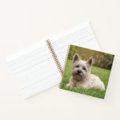 Carnet Animaux de bébés cutest | Cairn Terrier Dog (Intérieur)