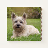 Carnet Animaux de bébés cutest | Cairn Terrier Dog (Dos)