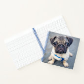 Carnet Animaux de bébés cutest | Carlin bébé (Intérieur)