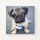 Carnet Animaux de bébés cutest | Carlin bébé (Dos)