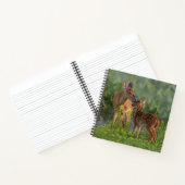 Carnet Animaux de bébés cutest | Cerf et bébé (Intérieur)