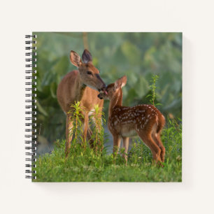 Carnet Animaux de bébés cutest Cerf et bébé
