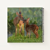 Carnet Animaux de bébés cutest | Cerf et bébé (Dos)