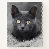 Carnet Animaux de bébés cutest | Chat gris (Dos)