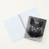 Carnet Animaux de bébés cutest | Chat gris (Intérieur)