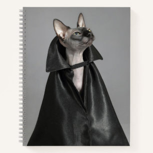 Carnet Animaux de bébés cutest   Chat sans poil Sphynx