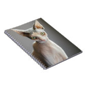 Carnet Animaux de bébés cutest | Chat Sphinx (Côté Droit)