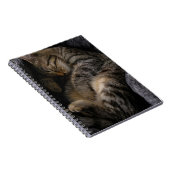 Carnet Animaux de bébés cutest | Chat Tabby Dormant (Côté Droit)