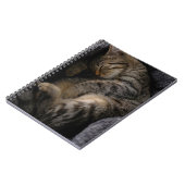 Carnet Animaux de bébés cutest | Chat Tabby Dormant (Côté gauche)