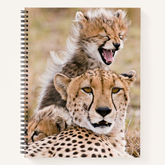 Carnet Animaux de bébés cutest | Cheetah Cat & Cub (Devant)