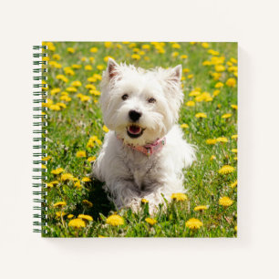 Carnet Animaux de bébés cutest Chien Westin en Dandelio