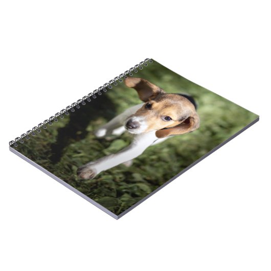 Carnet Animaux de bébés cutest | Chiot Beagle (Côté gauche)