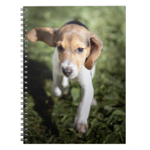 Carnet Animaux de bébés cutest Chiot Beagle