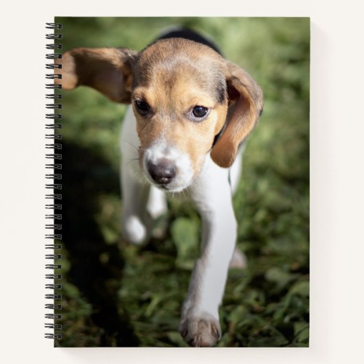 Carnet Animaux de bébés cutest | Chiot Beagle (Devant)