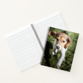 Carnet Animaux de bébés cutest | Chiot Beagle (Intérieur)