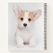 Carnet Animaux de bébés cutest | Chiot de Corgi blanc (Dos)