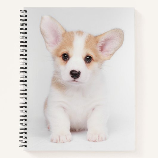 Carnet Animaux de bébés cutest | Chiot de Corgi blanc (Devant)