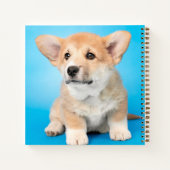 Carnet Animaux de bébés cutest | Chiot de Corgi en bleu (Dos)