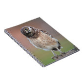 Carnet Animaux de bébés cutest | Chouette à tête bractée (Côté Droit)