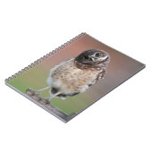 Carnet Animaux de bébés cutest | Chouette à tête bractée (Côté gauche)