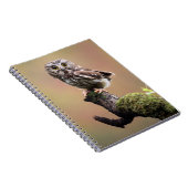 Carnet Animaux de bébés cutest | Chouette blanche de la s (Côté Droit)