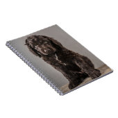 Carnet Animaux de bébés cutest | Cockapoo Puppy (Côté Droit)