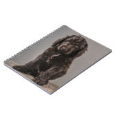 Carnet Animaux de bébés cutest | Cockapoo Puppy (Côté gauche)