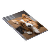 Carnet Animaux de bébés cutest | Coiffeuse à cheveux long (Côté Droit)