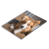 Carnet Animaux de bébés cutest | Coiffeuse à cheveux long (Côté gauche)