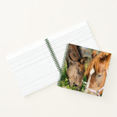 Carnet Animaux de bébés cutest | Colt à cheval (Intérieur)