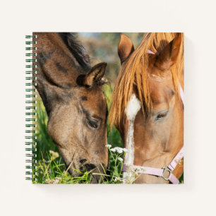Carnet Animaux de bébés cutest Colt à cheval