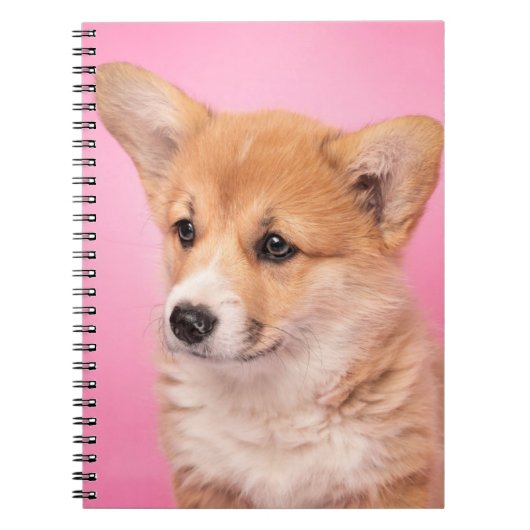 Carnet Animaux de bébés cutest | Corgi Chiot rose (Devant)