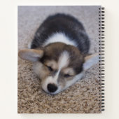 Carnet Animaux de bébés cutest | Corgi Chiot sur Shag Rug (Dos)