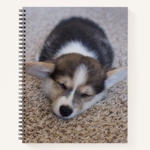 Carnet Animaux de bébés cutest Corgi Chiot sur Shag Rug